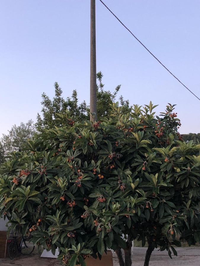 Appartamenti Jessica Peschici Buitenkant foto